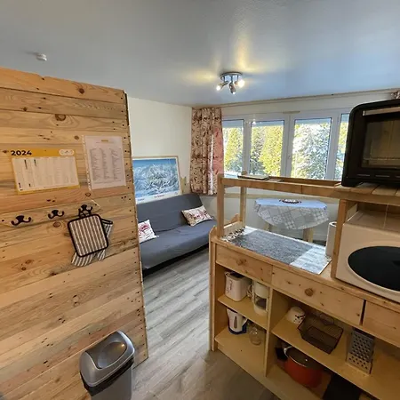 Coquet T2 Au Coeur Du Lioran - Fr-1-787-120 Apartment