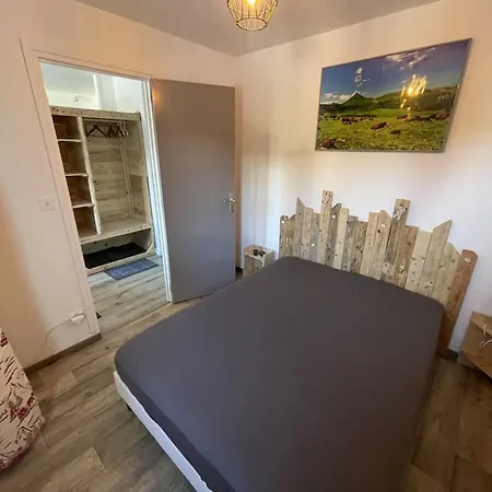 Apartment Coquet T2 Au Coeur Du Lioran - Fr-1-787-120 *